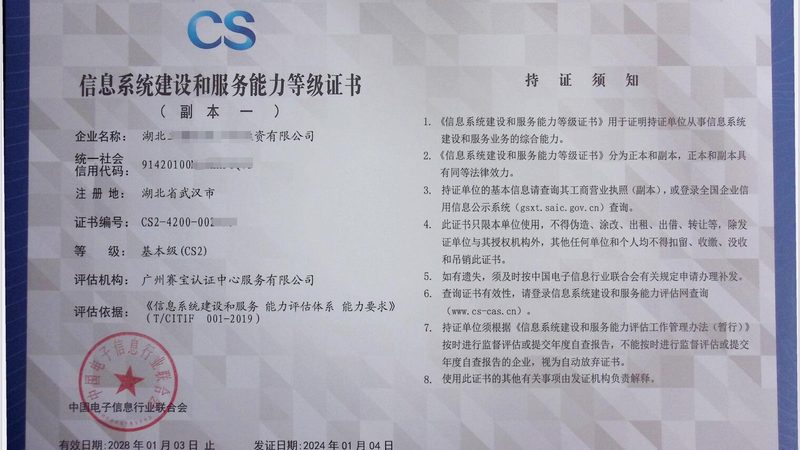IT外包服务按人天报价：揭秘其背后的逻辑与考量**